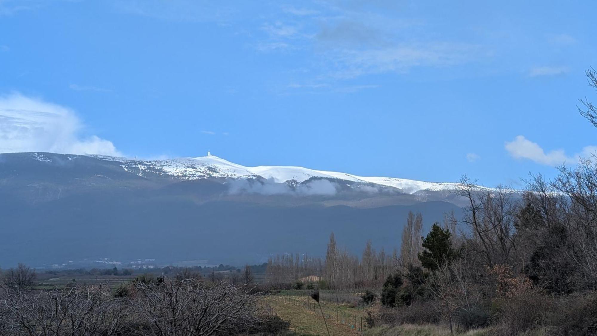 La Carriera, petite maison sud Ventoux, au charme Provençal Bédoin Extérieur photo
